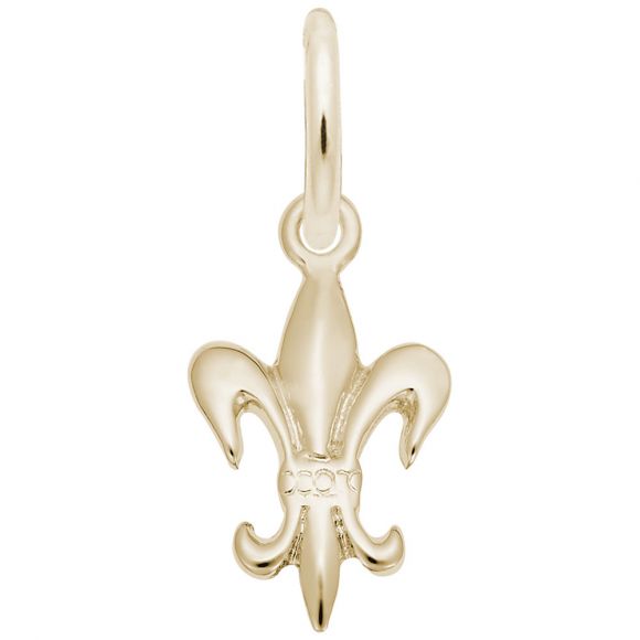 Fleur de Lis Accent Charm