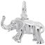 African Elephant Charm