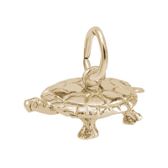 New Turtle Charm