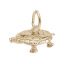 New Turtle Charm