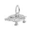 New Turtle Charm