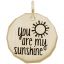 You Are My Sunshine Tag Charm