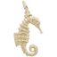 Curly Tail Seahorse Charm