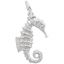 Curly Tail Seahorse Charm