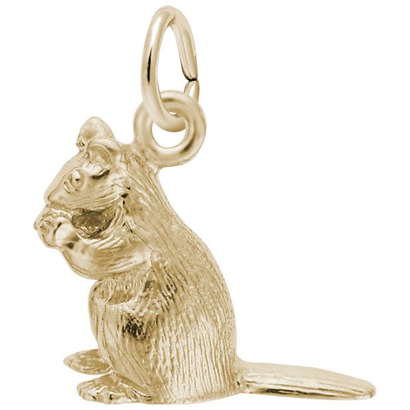 Chipmunk Charm