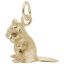 Chipmunk Charm