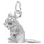Chipmunk Charm