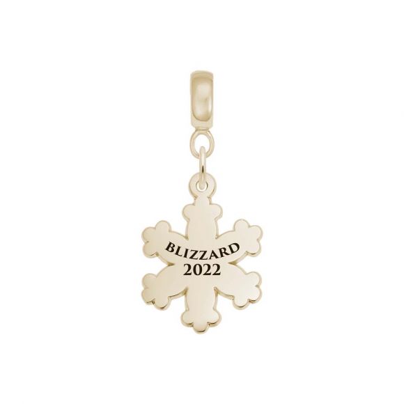 Blizzard 2022 Snowflake Charmdrop