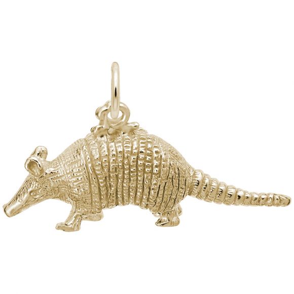 Armadillo Charm