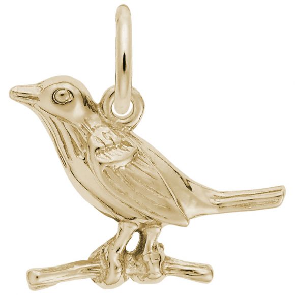 Robin Charm