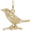 Robin Charm