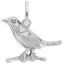 Robin Charm