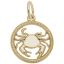 Cancer Crab Charm