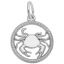Cancer Crab Charm