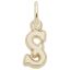 Small Serif Initial S Charm