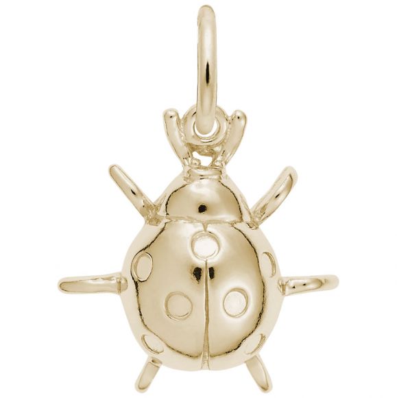Ladybug Charm
