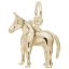 Mule Charm