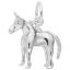 Mule Charm